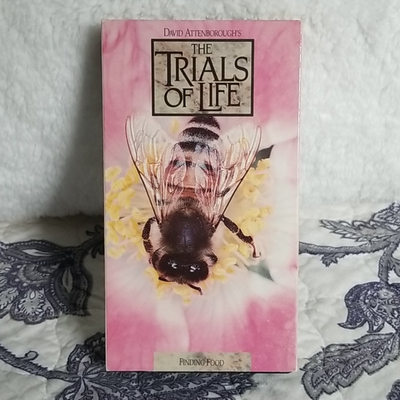 Vintage 1991 David Attenborough's "The Trials of Life" Time Life 12 VHS Box Set - Picture 4 of 15